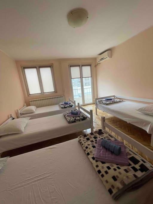 Bg Sunflower Apartment Beograd Ngoại thất bức ảnh